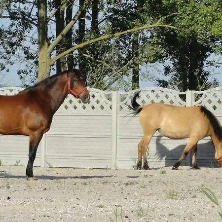 Ferienhaus Wierzbowa Ostoja - Letniskowy Bosman