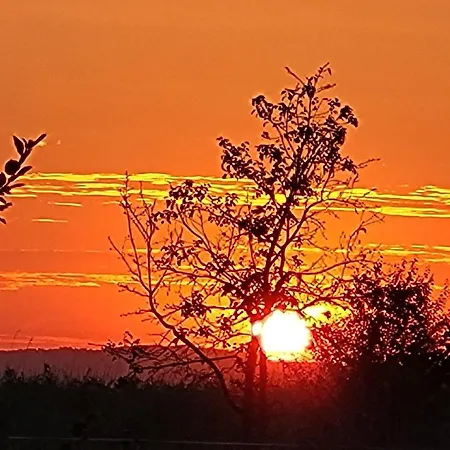 Wierzbowa Ostoja - Letniskowy Bosman *