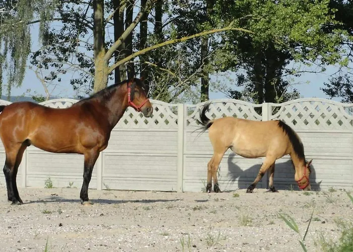 Prázdninový dům Wierzbowa Ostoja - Letniskowy Bosman