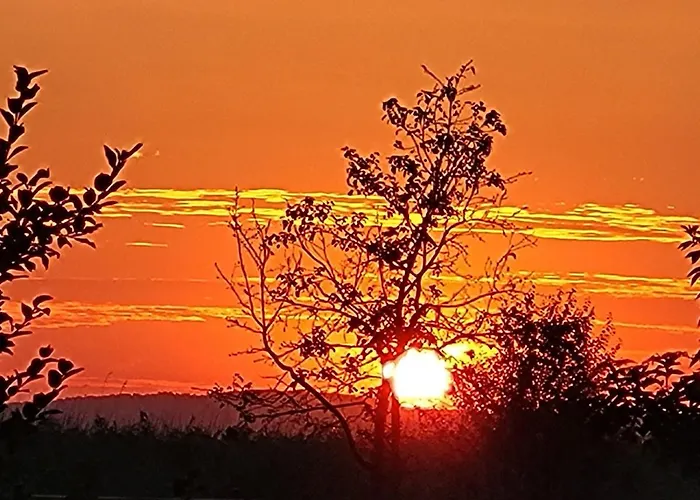 Wierzbowa Ostoja - Letniskowy Bosman *