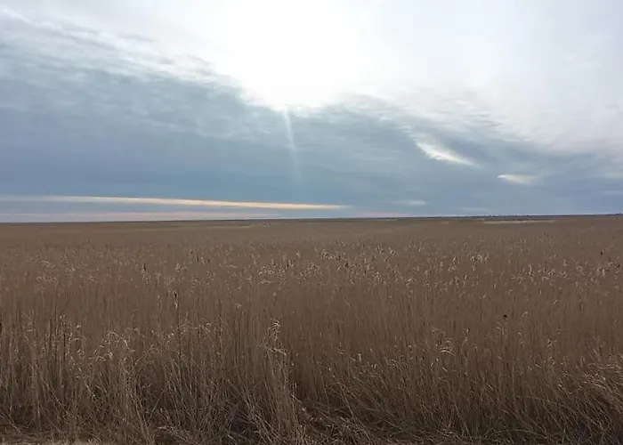 Prázdninový dům Wierzbowa Ostoja - Letniskowy Bosman Karsibór
