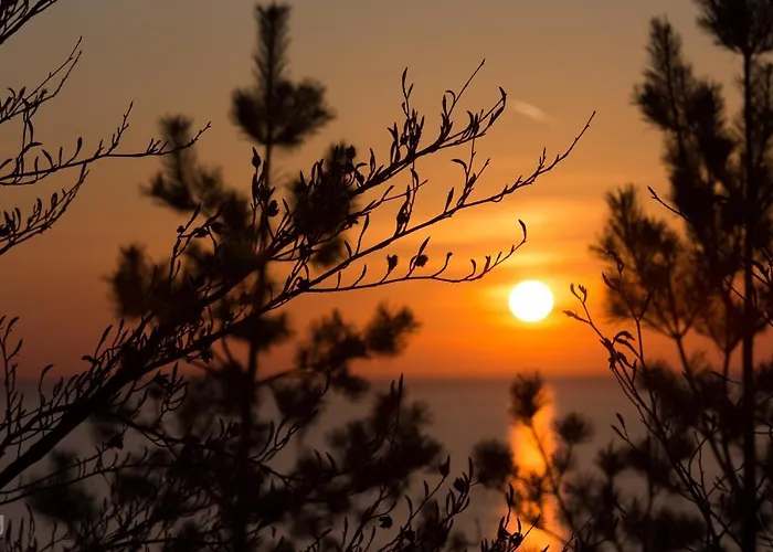 Wierzbowa Ostoja - Letniskowy Bosman Prázdninový dům